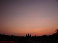 �A���R�[�����b�g���ޒ��Ă��@�B�e�ꏊ�F�V�F�����A�b�v�A�J���{�W�A