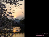 ����r�̍��Ɨ[�� �B�e�ꏊ�F����r �A��ˎR(OSAKA)