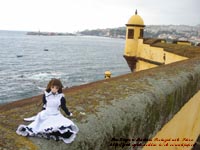 �}�f�B��( Madeira )�ɂ���T���e�B�A�S�v�ǂƂ����炳��@�B�e�ꏊ�F�}�f�B���A�|���g�K��(PORTUGAL)