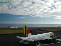 ���@���� TAP �Ɨ����Ɍ����� SATA �B�e�ꏊ�FHORTA �A�\�[���X����(HOR)�A�|���g�K��(PORTUGAL)