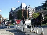 EMPRESS HOTEL�O�𑖂�n�ԁA�B�e�ꏊ�F���B�N�g���A�A�J�i�_(VICTORIA)